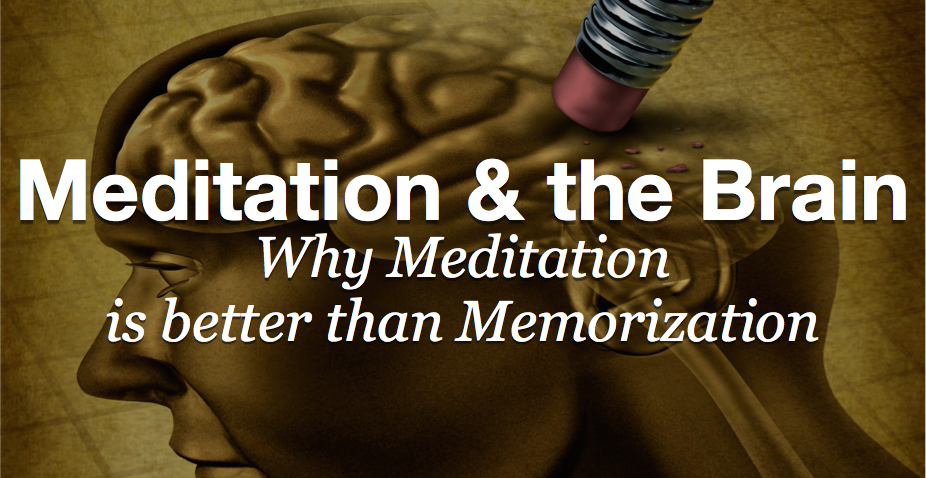 Meditation & The Brain